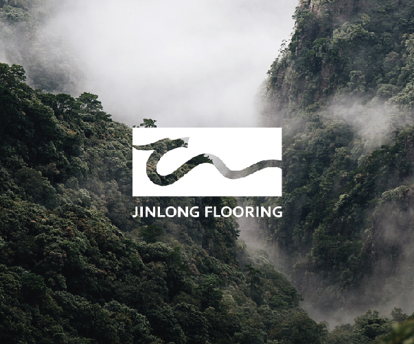 承德工業VI設計專家_高端品牌形象打造